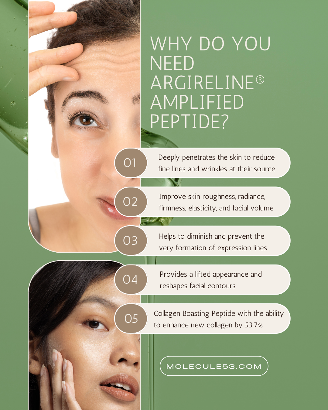 Amplified Age Reversal Serum - Argireline® Amplified Peptide 5%
